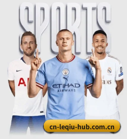 五大服务分区,信息按项目分类(leqiu)